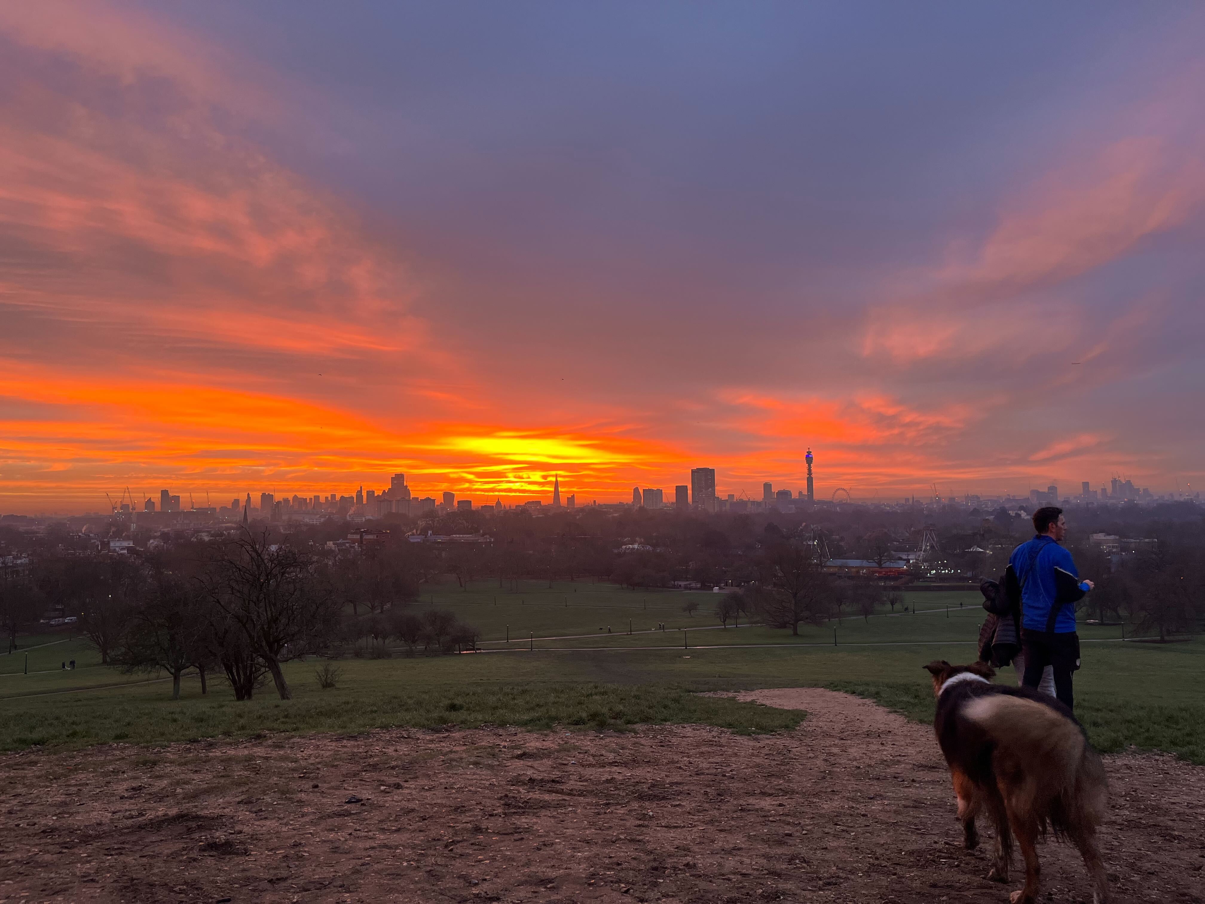 hill overlooking city at sunset